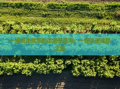 一场说走就走的运城至洱海：一日浪漫迷踪之旅