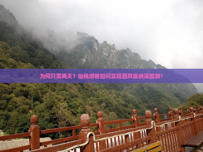 为何只需两天？仙桃游客如何实现西双版纳深度游？