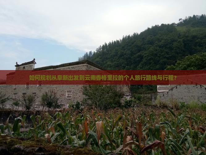 如何规划从阜新出发到云南香格里拉的个人旅行路线与行程？