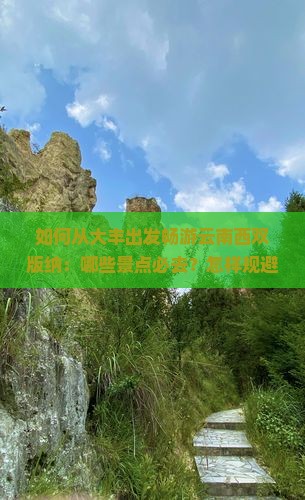 如何从大丰出发畅游云南西双版纳：哪些景点必去？怎样规避旅行痛点？