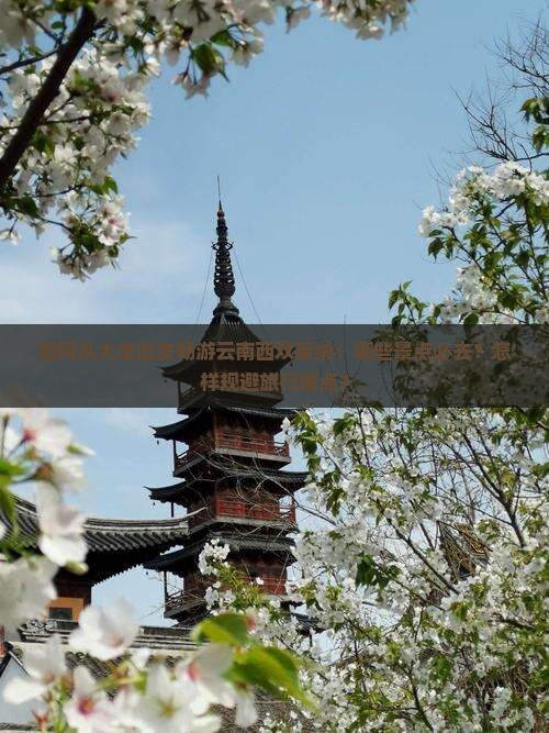 如何从大丰出发畅游云南西双版纳：哪些景点必去？怎样规避旅行痛点？