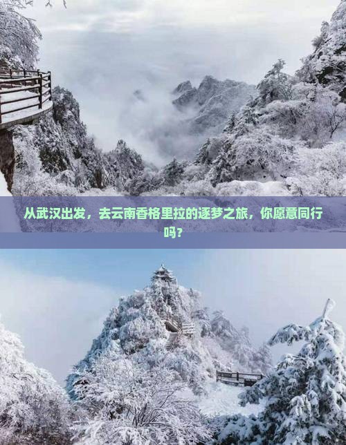 从武汉出发，去云南香格里拉的逐梦之旅，你愿意同行吗？
