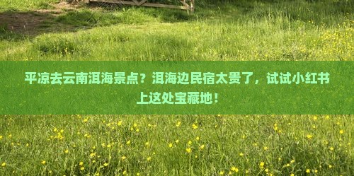 平凉去云南洱海景点？洱海边民宿太贵了，试试小红书上这处宝藏地！