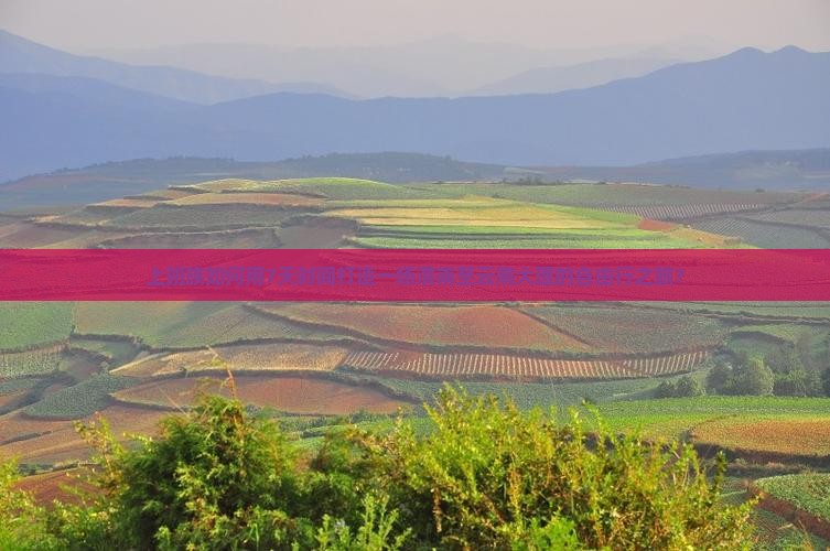 上班族如何用7天时间打造一场渭南至云南大理的自由行之旅？