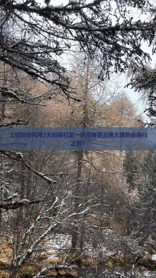 上班族如何用7天时间打造一场渭南至云南大理的自由行之旅？