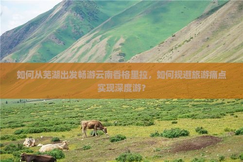 如何从芜湖出发畅游云南香格里拉,如何规避旅游痛点实现深度游? 如何从芜湖出发畅游云南香格里拉,如何规避旅游痛点实现深度游?