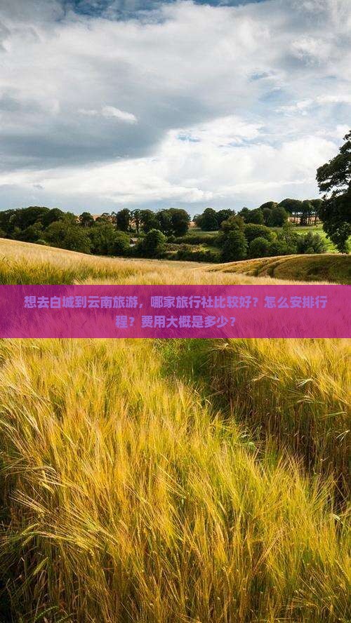 想去白城到云南旅游，哪家旅行社比较好？怎么安排行程？费用大概是多少？
