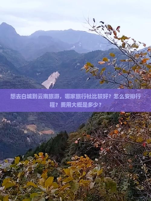 想去白城到云南旅游，哪家旅行社比较好？怎么安排行程？费用大概是多少？