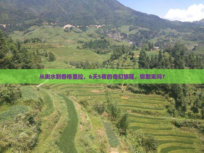 衡水去云南香格里拉六日游