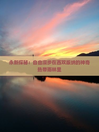 永新去云南西双版纳自由团