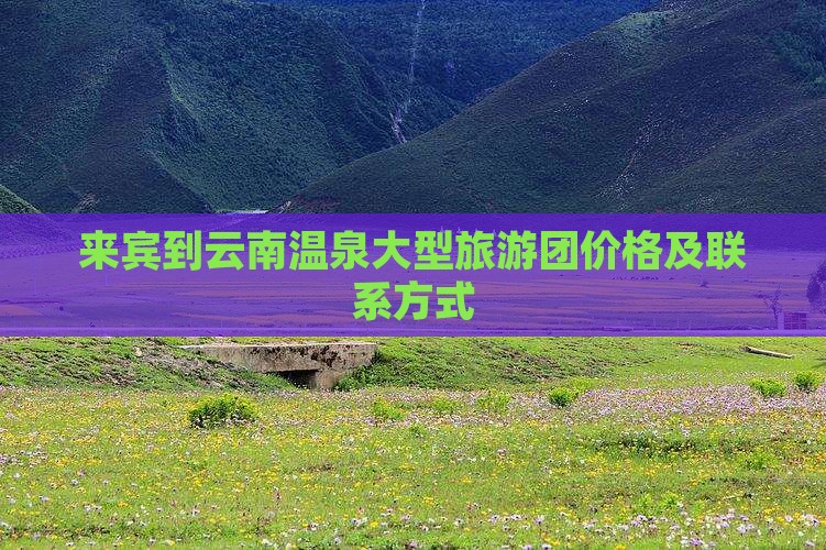 来宾到云南温泉大型旅游团