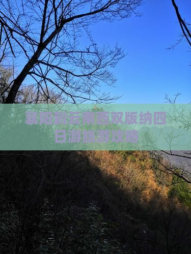 襄樊到云南西双版纳四日游