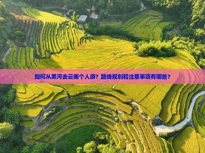 黑河去云南个人游