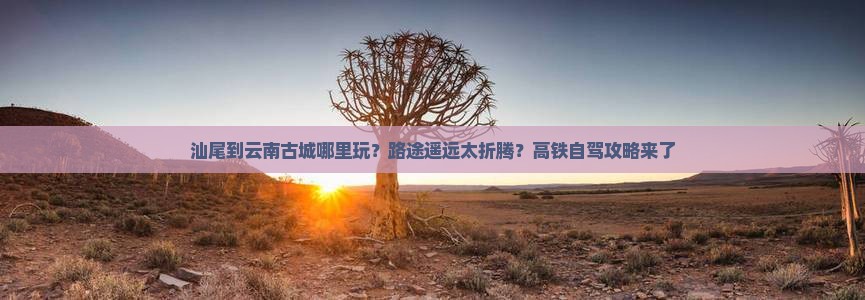 汕尾到云南古城哪里玩