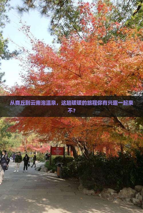 商丘到云南温泉旅游