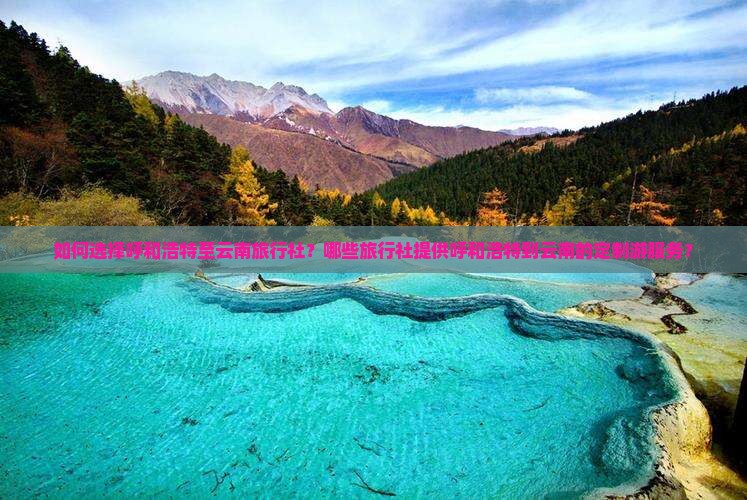 呼和浩特到云南旅行社