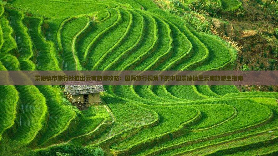 景德镇到云南旅行社