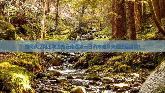 辽阳去云南温泉一日