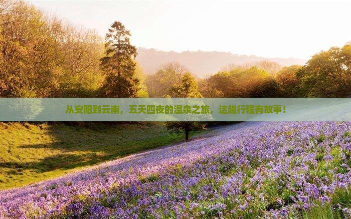 安阳到云南温泉五日游
