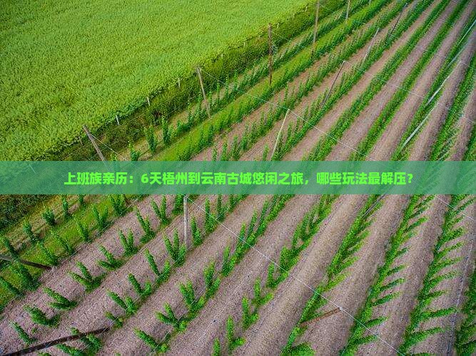 梧州到云南古城六日游