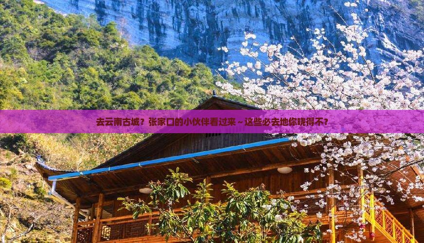 张家口去云南古城必去地