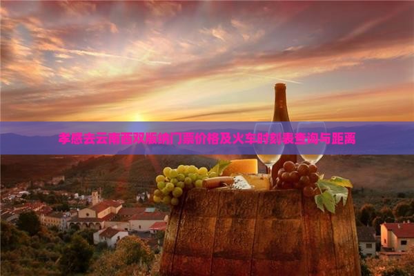 孝感去云南西双版纳门票