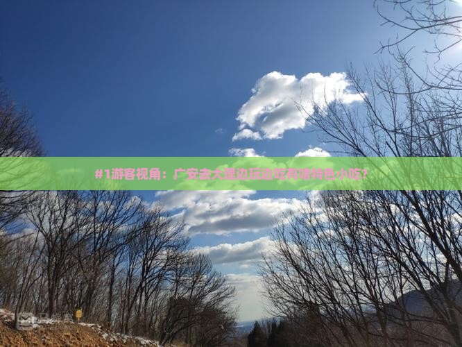 广安到云南大理旅游小吃 广安到云南大理旅游小吃