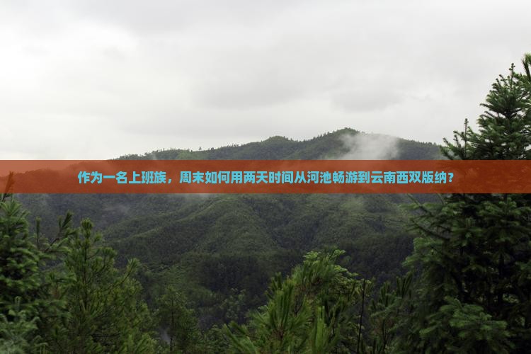 河池去云南西双版纳二日游
