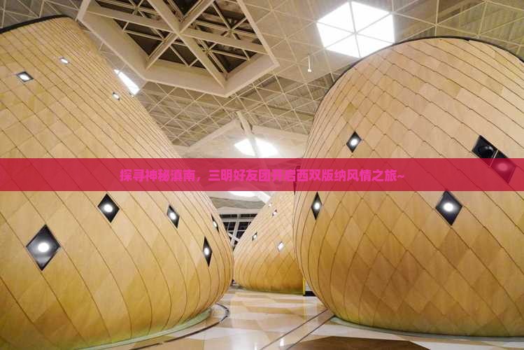三明到云南西双版纳团体旅游 三明到云南西双版纳团体旅游