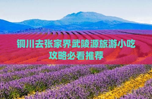 铜川去张家界武陵源旅游小吃攻略必看推荐