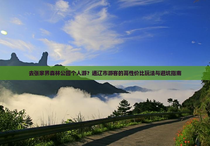 去张家界森林公园个人游？通辽市游客的高性价比玩法与避坑指南