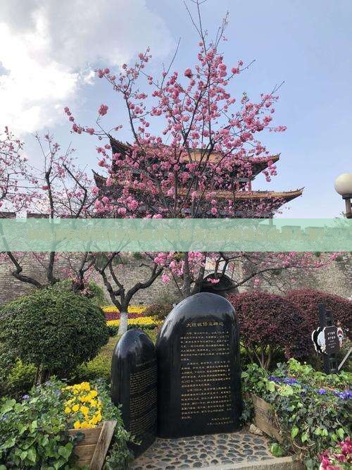 铁岭游客如何规划张家界武陵源旅游路线以避开人潮？