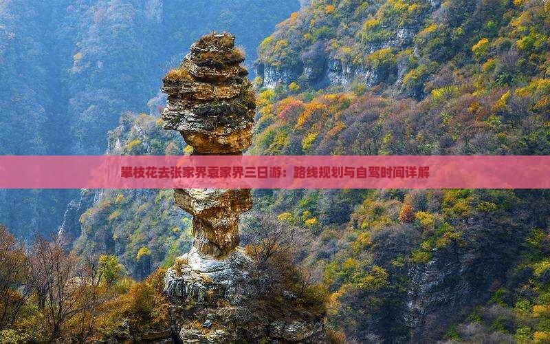 攀枝花去张家界袁家界三日游：路线规划与自驾时间详解