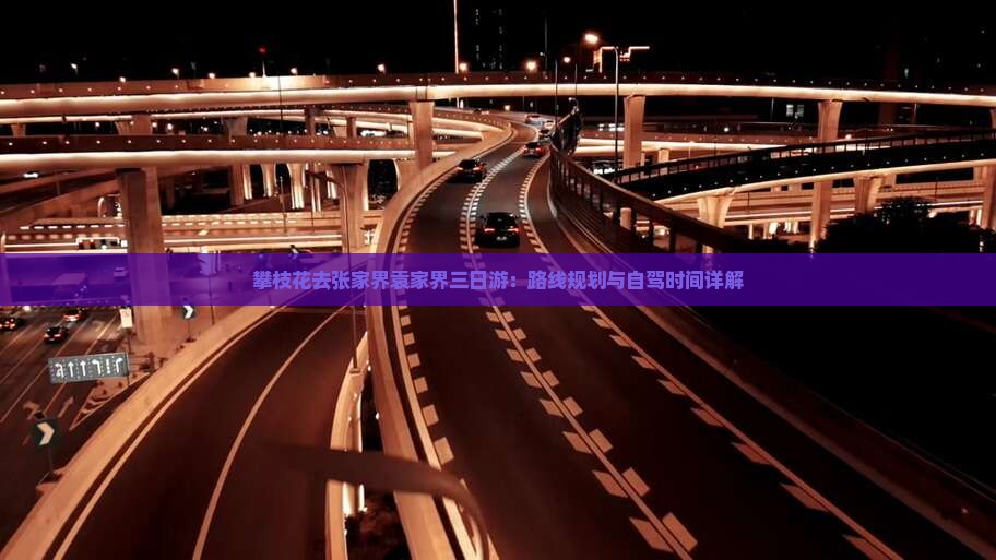 攀枝花去张家界袁家界三日游：路线规划与自驾时间详解