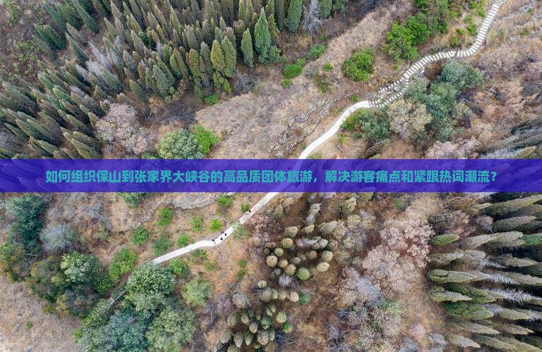 如何组织保山到张家界大峡谷的高品质团体旅游，解决游客痛点和紧跟热词潮流？