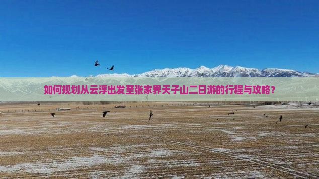 如何规划从云浮出发至张家界天子山二日游的行程与攻略？