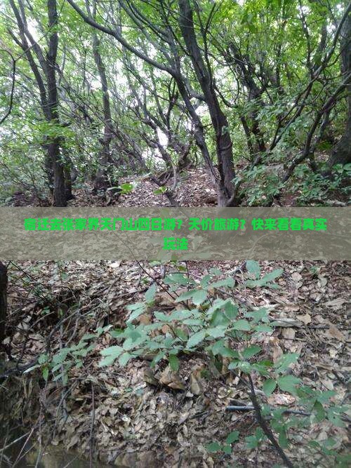 宿迁去张家界天门山四日游？天价旅游？快来看看真实玩法