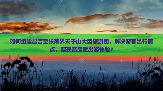 如何组建昌吉至张家界天子山大型旅游团，解决游客出行痛点，实现高品质出游体验？