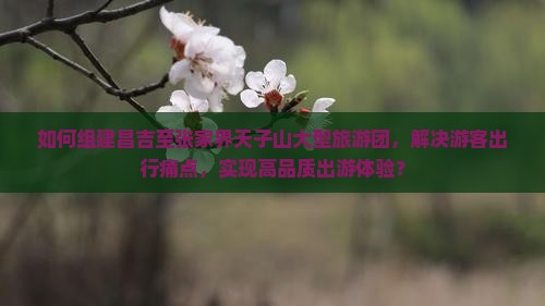 如何组建昌吉至张家界天子山大型旅游团，解决游客出行痛点，实现高品质出游体验？