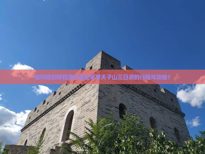 如何规划呼和浩特至张家界天子山三日游的行程与攻略？