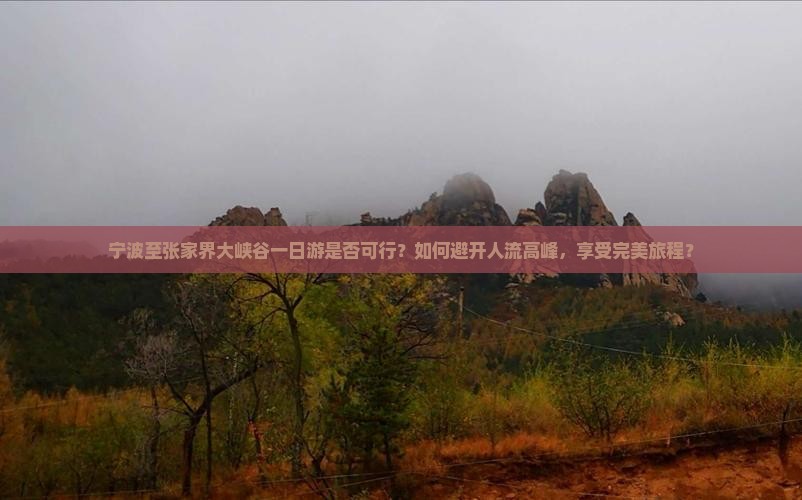宁波至张家界大峡谷一日游是否可行？如何避开人流高峰，享受完美旅程？