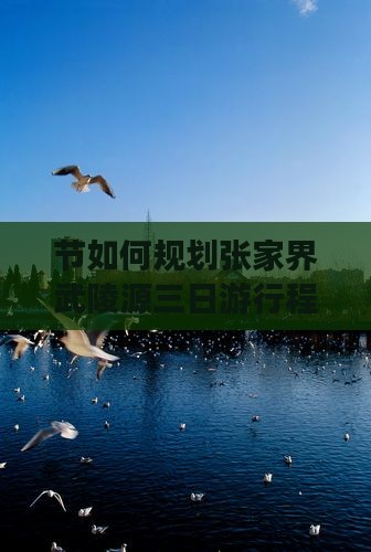 节如何规划张家界武陵源三日游行程与攻略？