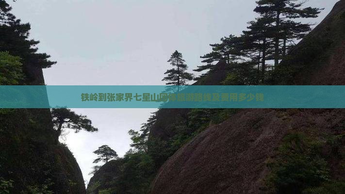 铁岭到张家界七星山团体旅游路线及费用多少钱