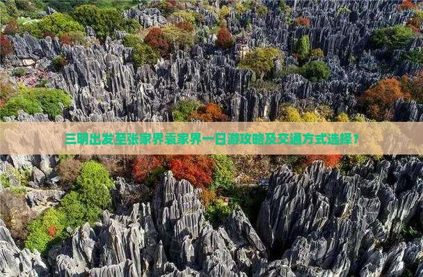 三明出发至张家界袁家界一日游攻略及交通方式选择？