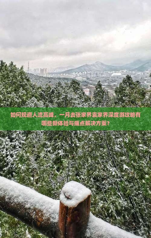 如何规避人流高峰，一月去张家界袁家界深度游攻略有哪些新体验与痛点解决方案？
