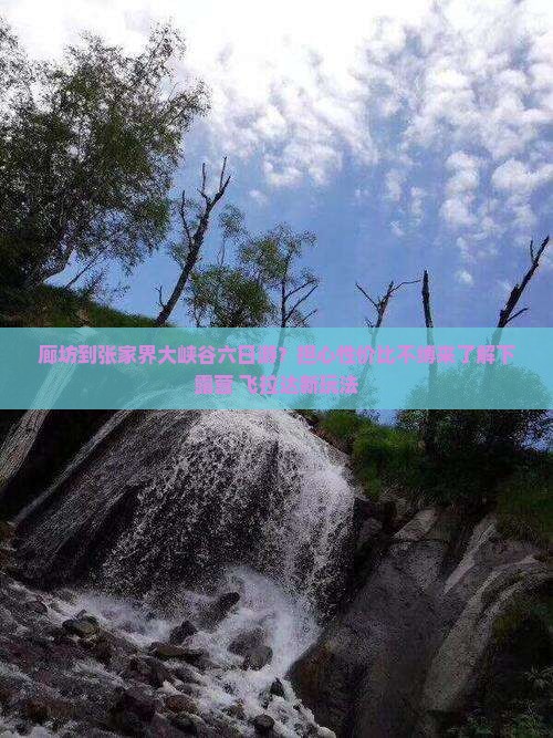廊坊到张家界大峡谷六日游？担心性价比不缚来了解下露营+飞拉达新玩法