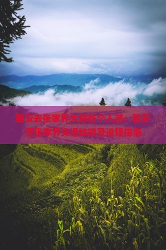 雅安去张家界大峡谷个人游：雅安至张家界交通攻略及返程指南