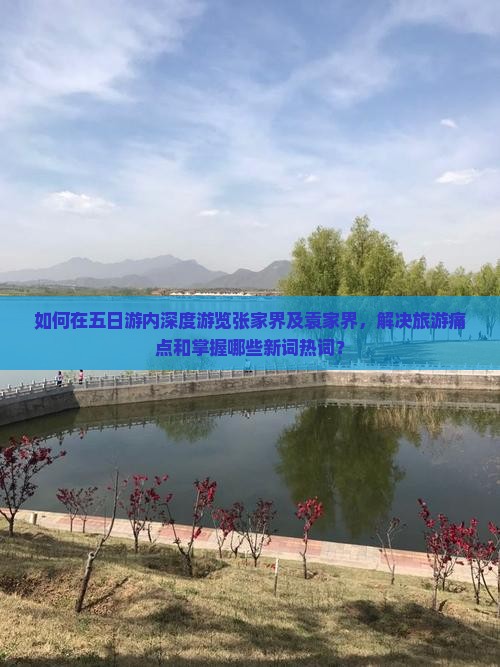 如何在五日游内深度游览张家界及袁家界，解决旅游痛点和掌握哪些新词热词？