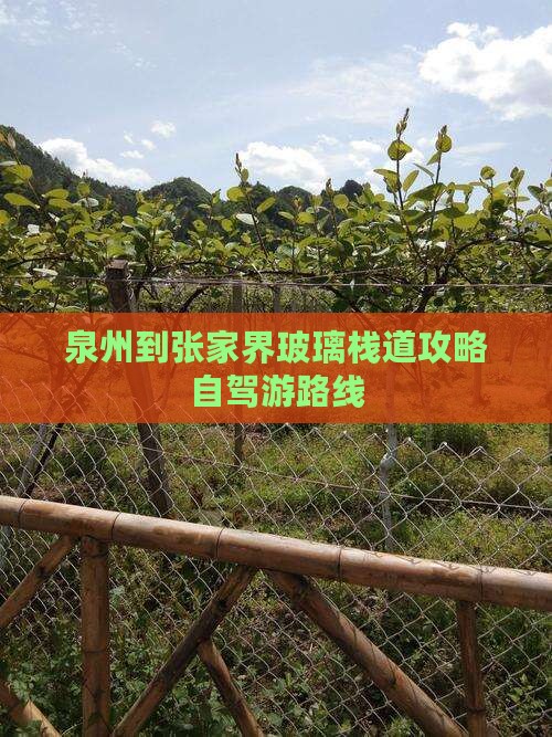 泉州到张家界玻璃栈道攻略自驾游路线