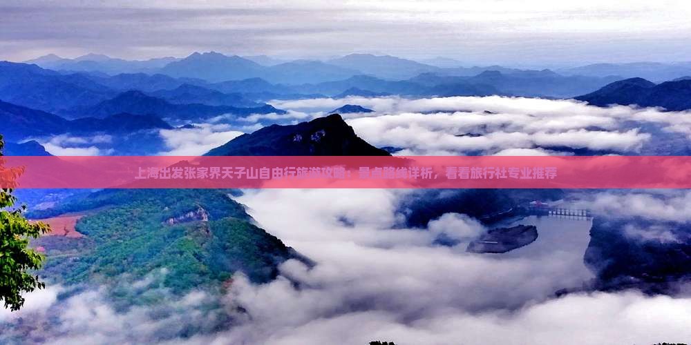 上海出发张家界天子山自由行旅游攻略：景点路线详析，看看旅行社专业推荐